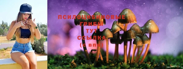 круглые Верхний Тагил